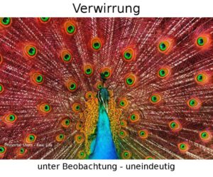 Verwirrung