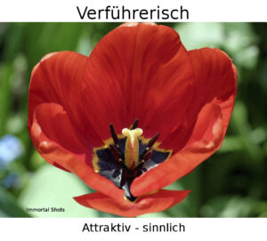 Verführerisch